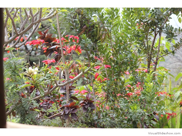 BLO_IMG_1053