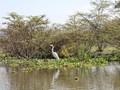 IMG_0616