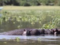 IMG_0644